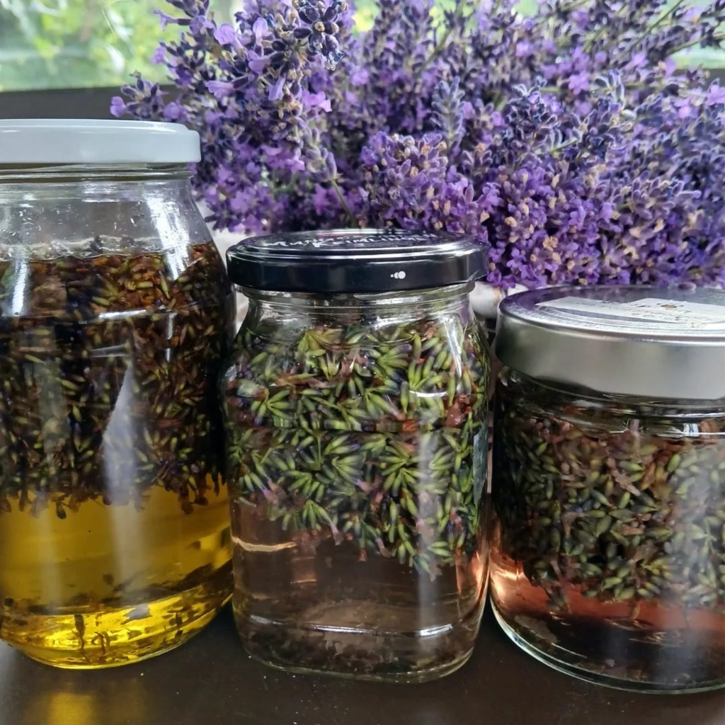 Eingemachte Wildkräuter in Gläsern